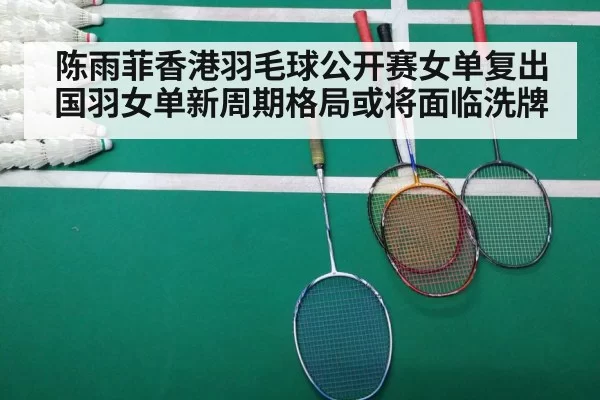badminton match court