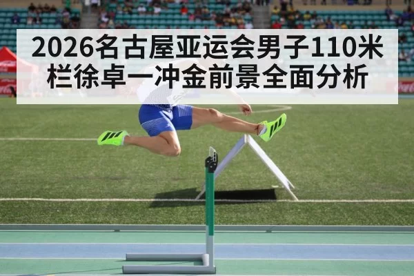 110m hurdles competition
